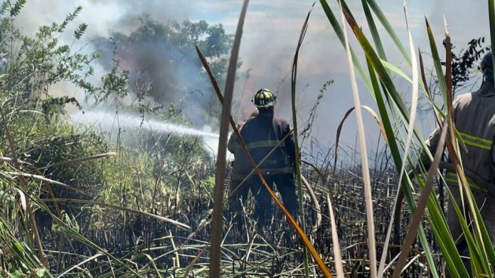 Medio Ambiente dice incendio registrado en Lagunas de Cabarete y Goleta está sofocado