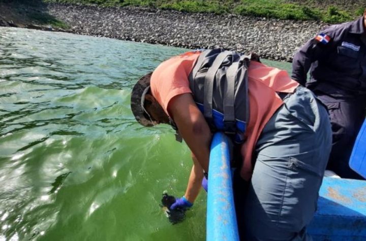 Resultados preliminares: floración de algas pudo provocar muerte de peces en presa de Hatillo