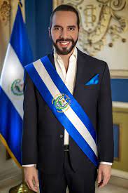 Nayib Bukele propone reducir número de alcaldes y diputados