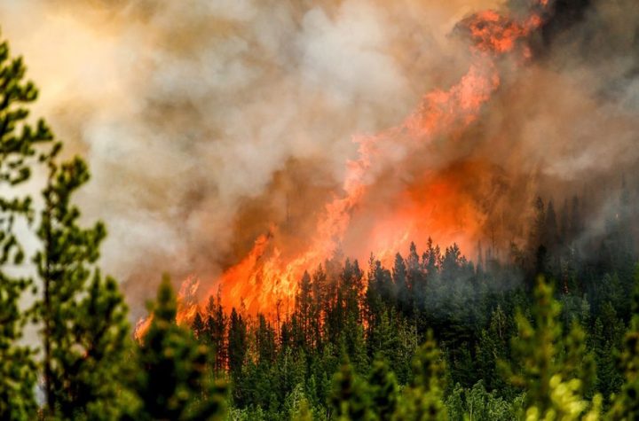 Evacúan a miles de personas por incendios forestales en Canadá