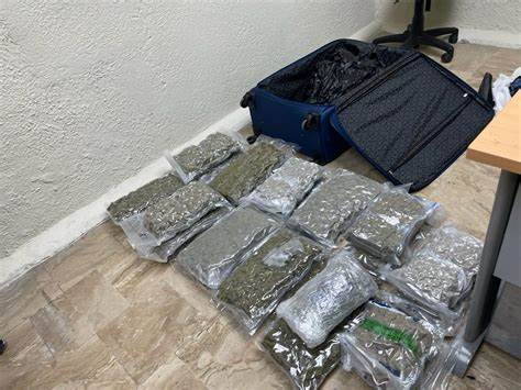 Mujer deja abandonada maleta con 27 paquetes de marihuana en Punta Cana