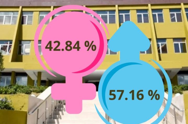 Representación de la mujer en elecciones municipales alcanzó el 42.84 %