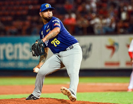Vizcaya fortalece el relevo de los Tigres del Licey