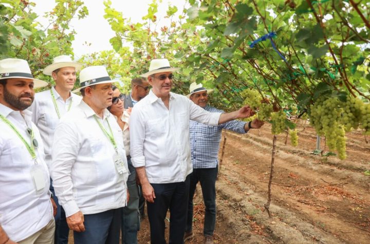 Abinader visitará las provincias Espaillat y San Cristóbal este jueves